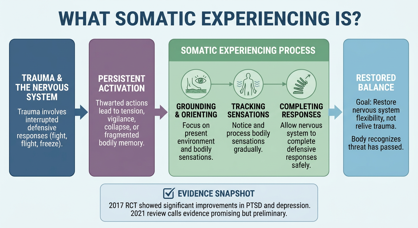 Somatic Therapy vs. Somatic Experiencing: What Is It?
